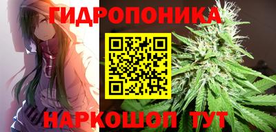 мяу мяу мука Михайловка