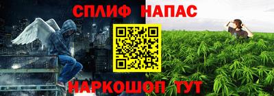 ГАЛЛЮЦИНОГЕННЫЕ ГРИБЫ Мирный